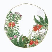 طبق عشاء 26 سم من Easy Life Exotica - ألوان متعددة product image