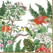طقم مناديل طعام 20 قطعة من Easy Life Exotica - ألوان متعددة product image