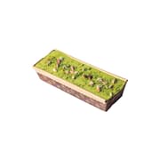 Despacito Pistachio product image
