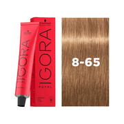 IGORA Royal 8-65 Light Blonde Chocolate Gold Permanent Hair Color 60g product image