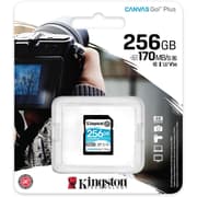 Kingston 256GB SDXC Canvas Go Plus 170MB /s C10, U3, V30 Memory Card product image
