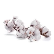 Micellar waters ( Cotton Extract ) product thumbnail 2