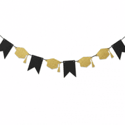 Graduation Party Banner product image