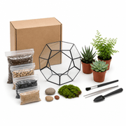 DIY Terrarium Kit product image