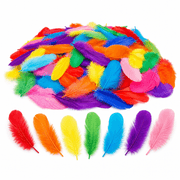 Kids Craft Feathers 200‑Pack product image