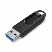 SanDisk 256GB USB Flash Drive product image