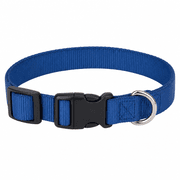 Blueberry Pet Dog Collar Medium product image