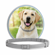 Seresto Flea & Tick Collar Dog product image
