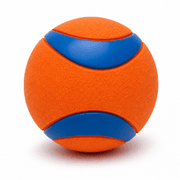 Chuckit! Indoor Ball product image