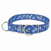 Blueberry Pet Martingale Collar product image