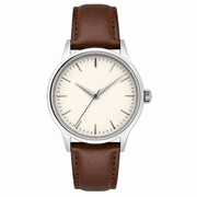 Timex Waterbury Classic product image