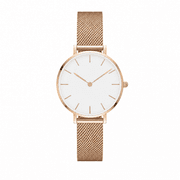 Daniel Wellington Petite Melrose product image