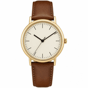 Timex Easy Reader Brown Leather product image