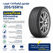 Goodyear EfficientGrip 205/55R16 product image