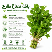 Fresh Mint Bunch product image