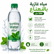 Sparkling Water Mint 500ml product image