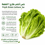 Fresh Green Lettuce 1pc product image