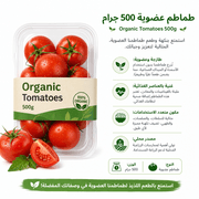Organic Tomatoes 500g product image
