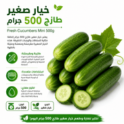 Fresh Cucumbers Mini 500g product image