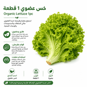 Organic Lettuce 1pc product image