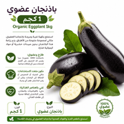 Organic Eggplant 1kg product image
