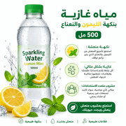 Sparkling Water Lemon Mint 500ml product image