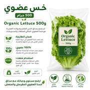 Organic Lettuce 500g product image