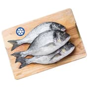 Mediterranean Sea Bream product image