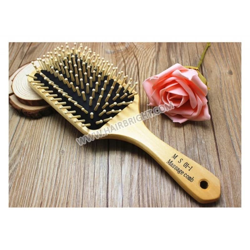 BIG Wooden Brush & Hair Care Massage Comb