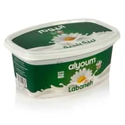 Today’s Labneh 500g product image