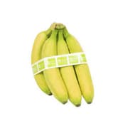 Imported Banana Plate product image