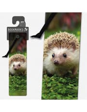 3D Bookmarks - Hedgehog product image