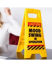 Desk Warning Sign - Mood Swing product image