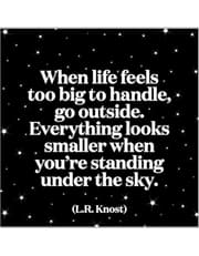 Quotable Magnets - "When life feels too big to handle" product image