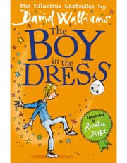 The Boy in the Dress product image