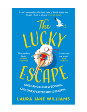 The Lucky Escape product image