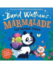 MARMALADE: THE ORANGE PANDA product image