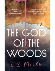 The God of the Woods product image