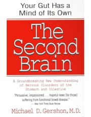 Second Brain product image