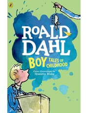 Boy: Tales Of Childhood product image
