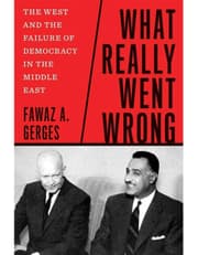 What Really Went Wrong product image