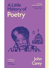 A Little History of Poetry product image