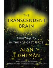 The Transcendent Brain product image