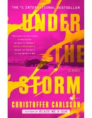 Under The Storm: A Novel product image