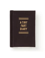 Tiny Fart Diary product image