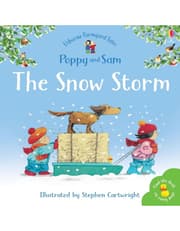 The Snow Storm product image