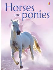 Horses And Ponies product image