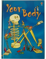 Your Body product image