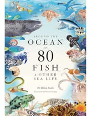 Around the Ocean in 80 Fish and other Sea Life product image