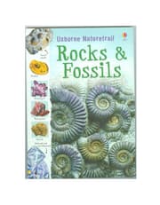 Rocks And Fossils product image